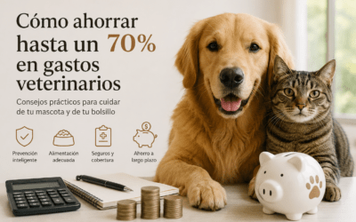 Cómo ahorrar hasta un 70% en gastos veterinarios