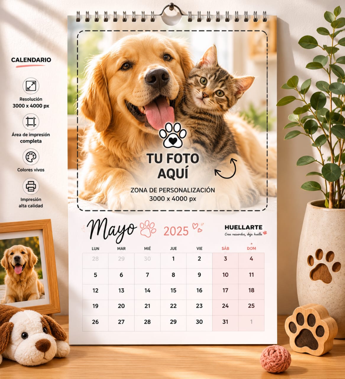 Vista previa personalizada