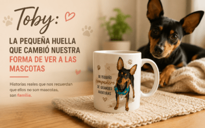 Toby: la pequeña huella que cambió nuestra forma de ver a las mascotas